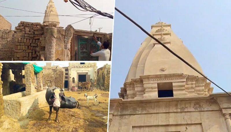 Viral Video: Now, conversion of another temple in Pakistan's Sadiqabad into animal farm sparks ourtage snt