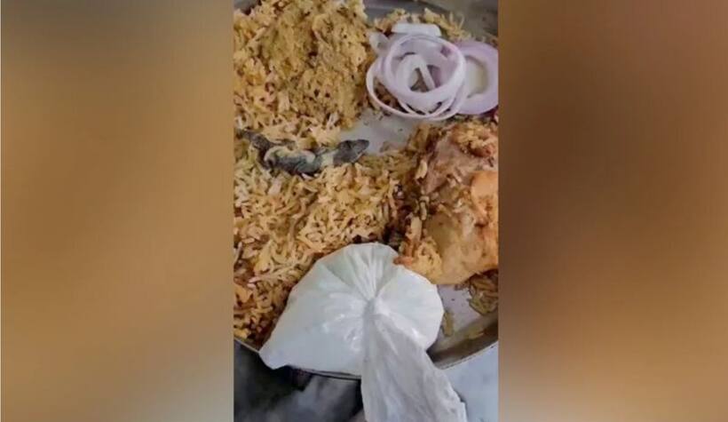 Viral video: Hyderabad man orders biryani, finds dead lizard in it; leaves internet disgusted (WATCH)