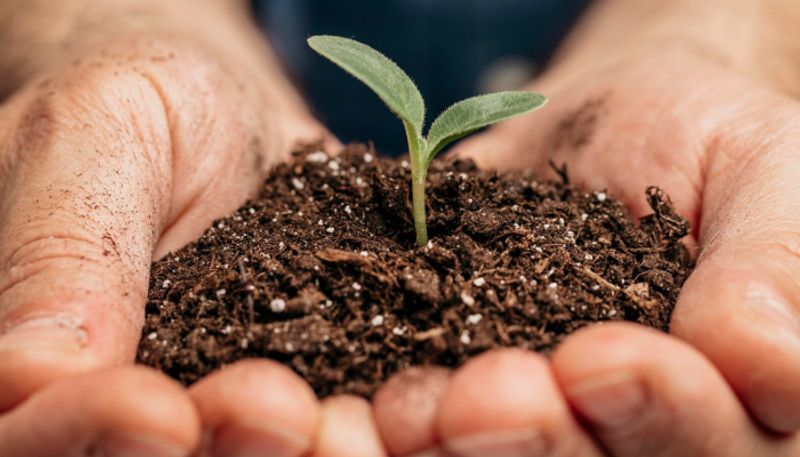 world soil day