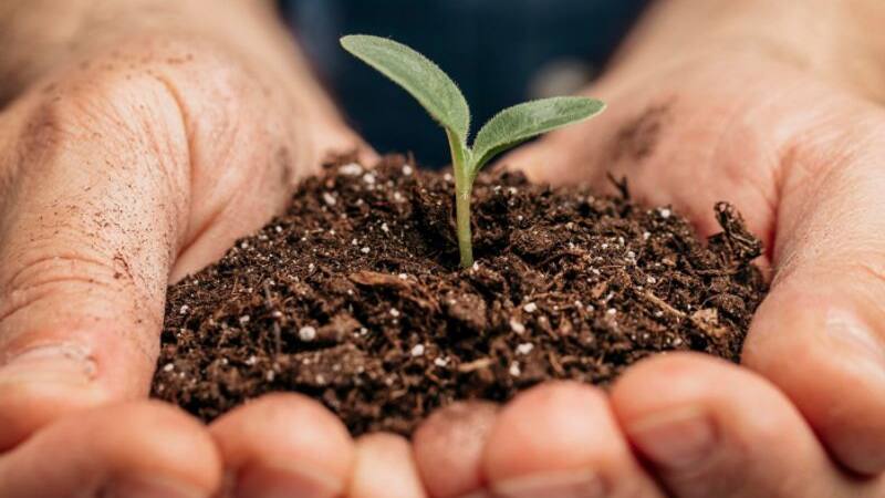 world soil day
