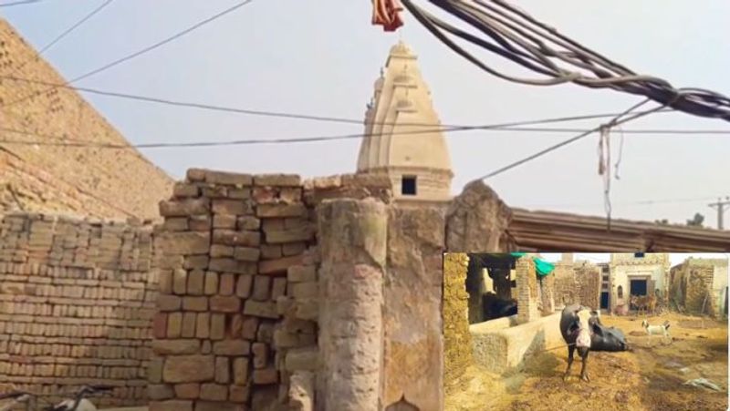 Temple in Pakistans Sadiqabad converted into animal farm, sparks outrage-rag