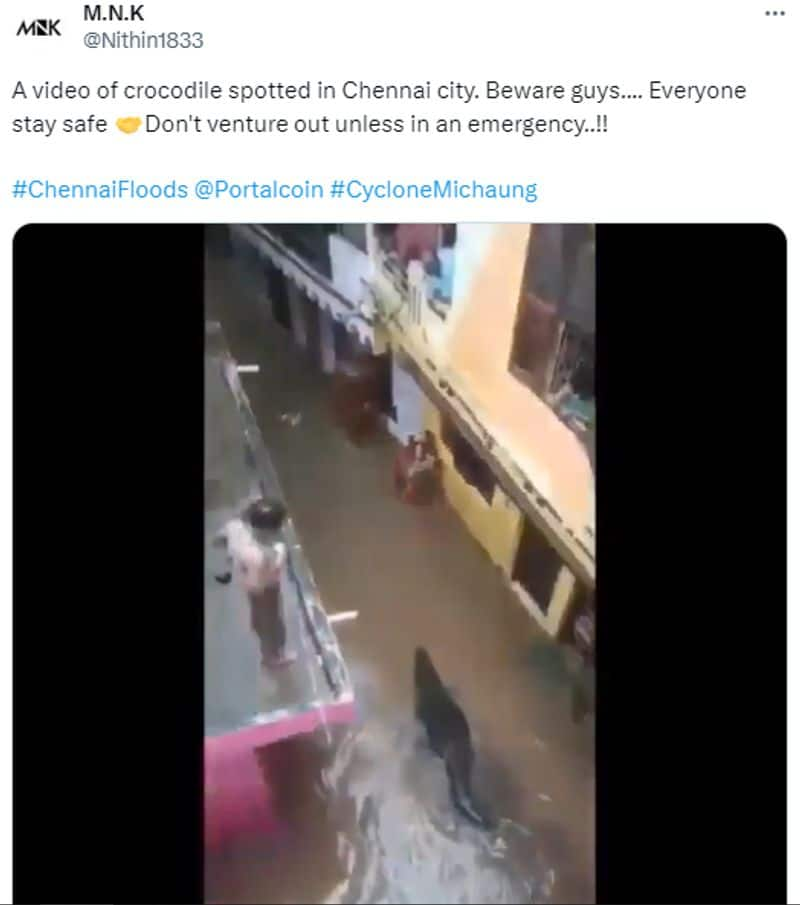 Cyclone Michaung Video of crocodile spotted in Chennai city is fake here is the fact check jje 