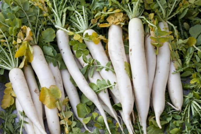 Winter Superfood Radish know about Benefits of This Vegetable bsm