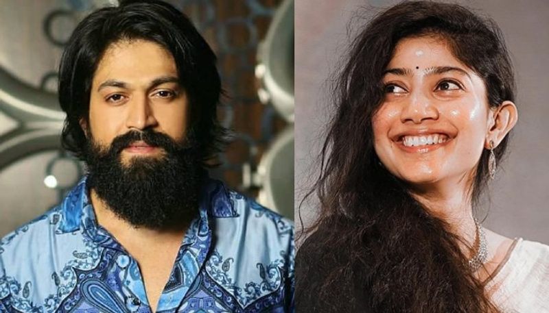 Sai Pallavi in Kannada Superstar Yashs 19th film? 