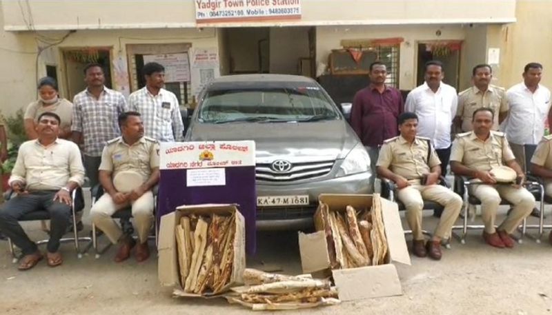 Five Arrested For Sandalwood Tree Theft Case in Yadgir grg 