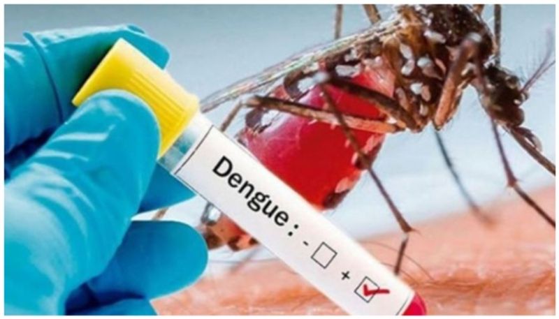 Dengue case crossed 200 mark in Shivamogga gvd