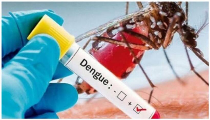 Karnataka battles Dengue surge: 5700 cases in 6 months, 5 fatalities including 1 in Bengaluru