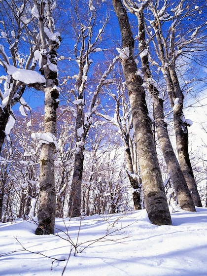Aomori, Japan