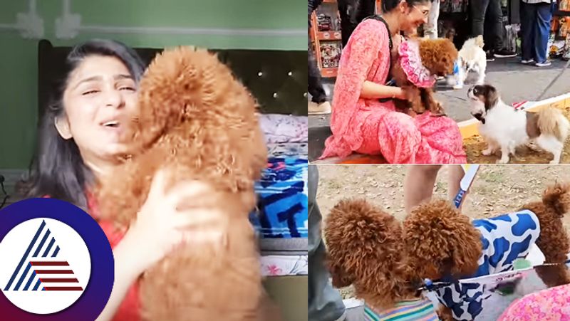 Aditi Prabhudevas dog  Chocolate   got a boyfriend in pet show suc