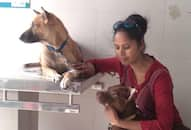 Sharing home with 85 animals Sushma Singh mission to provide care to homeless animals iwh