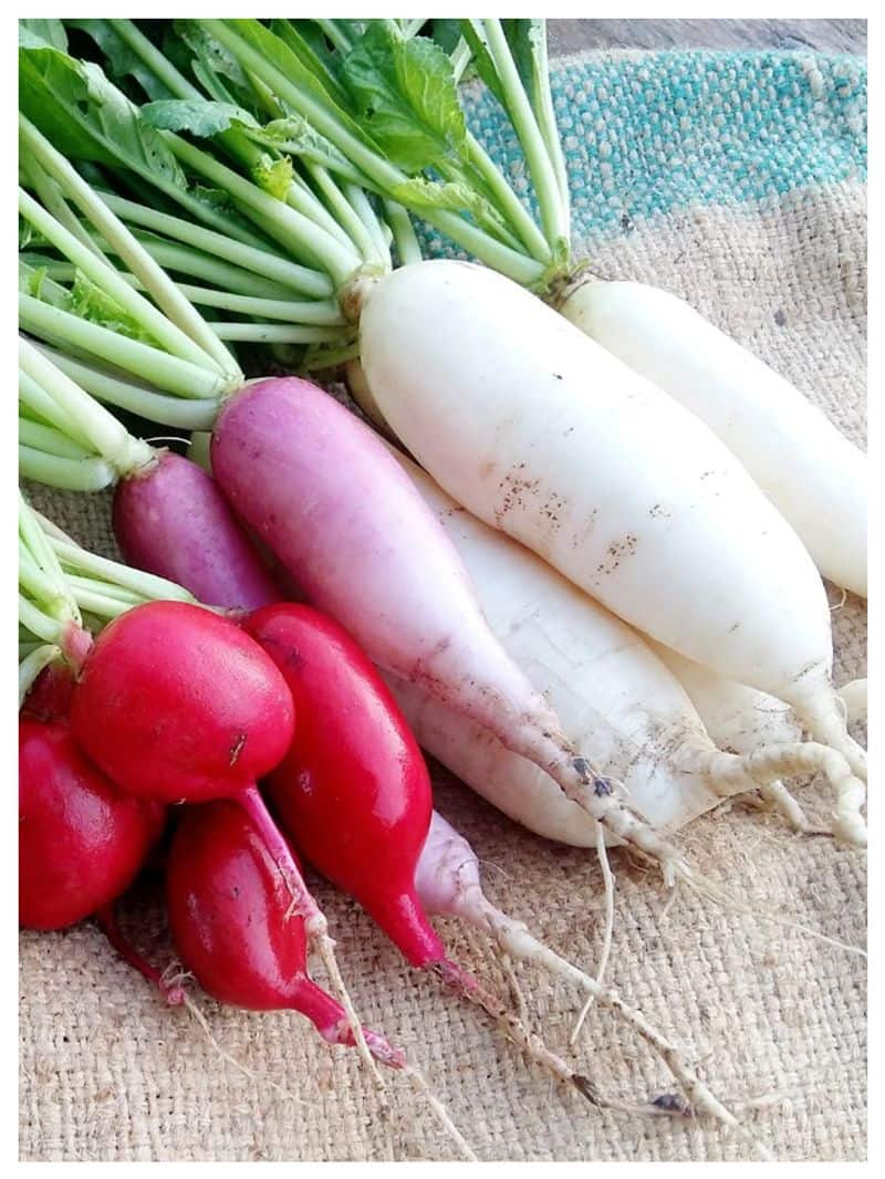 health benefits of eating super food radish 