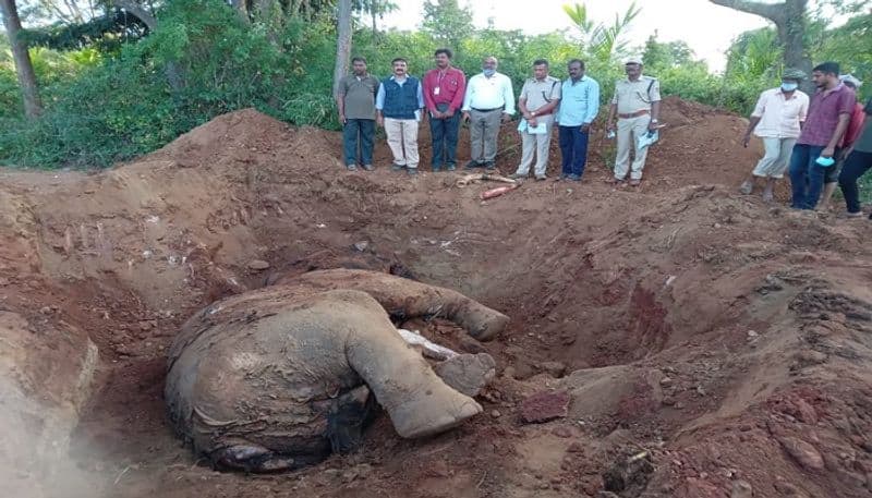 Case on the Person who Buried the Elephant at Kanakapura in Ramanagara grg 