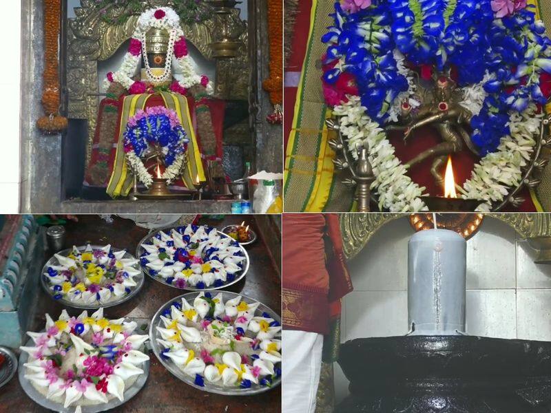 special prayer held at lingeshwarar temple in theni district vel