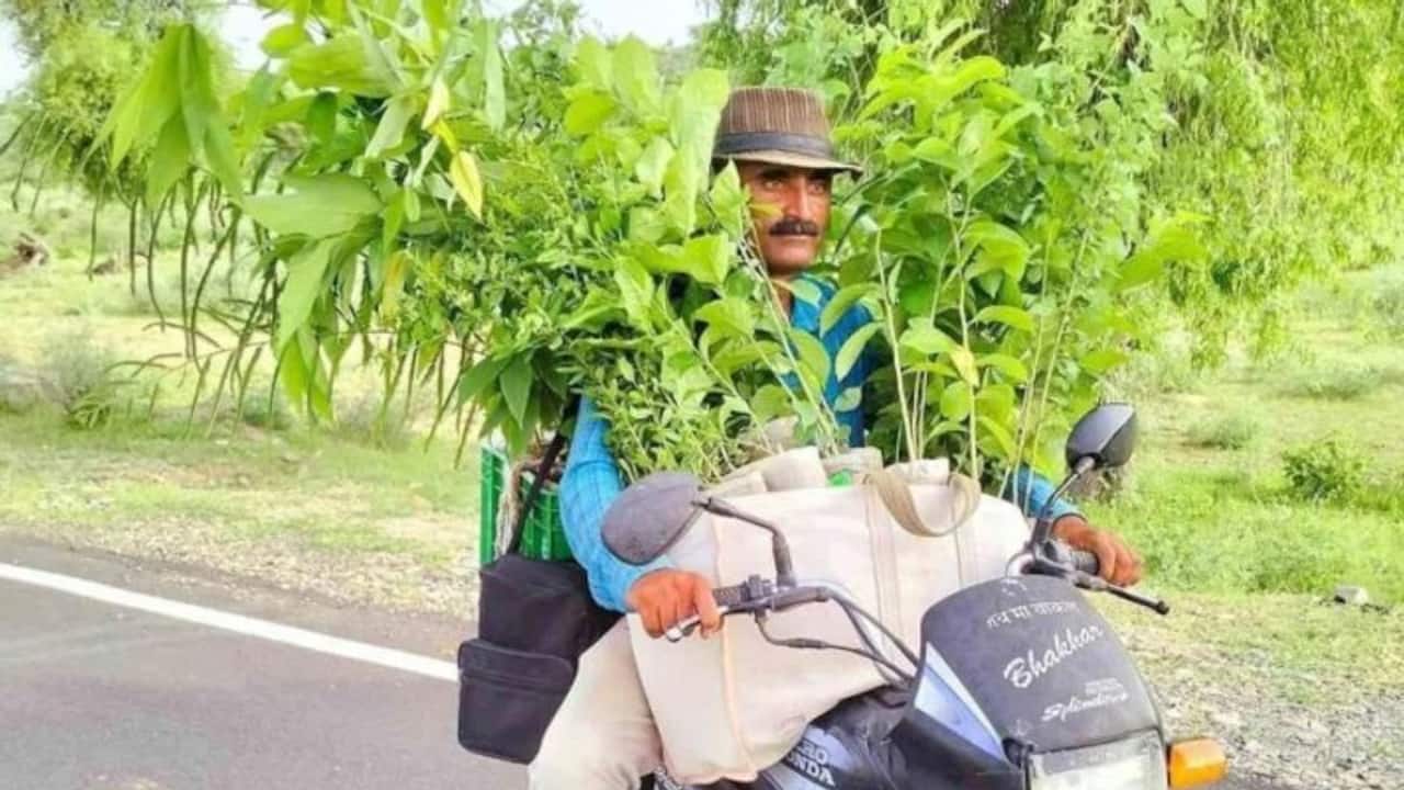 पेशे से शिक्षक लेकिन थार के मरुस्थल में लगा ढिये साढे चार लाख से ज़्यादा पेड़