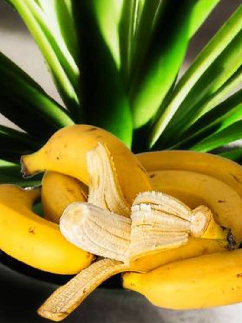 how to use banana peels for plants rlp