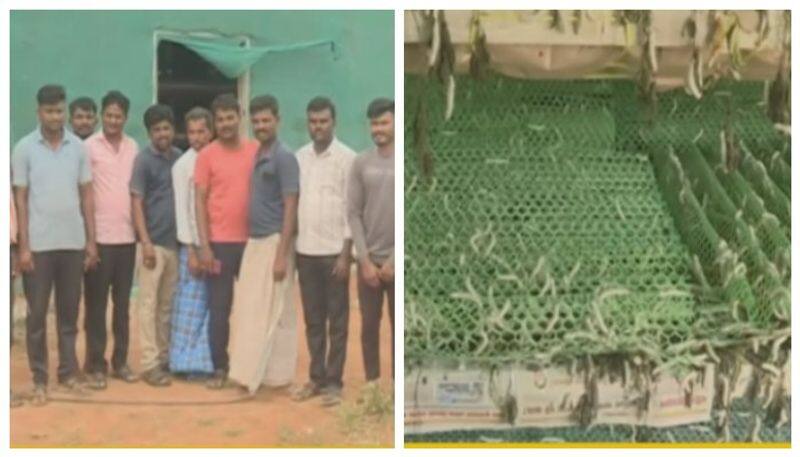 Silk growers of koppal in problem nbn