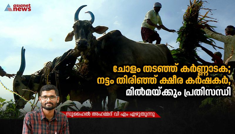 donot sell corn to  Kerala Karnataka's Decision will destroy dairy sector of Kerala by Suhail Ahmed VM bkg 