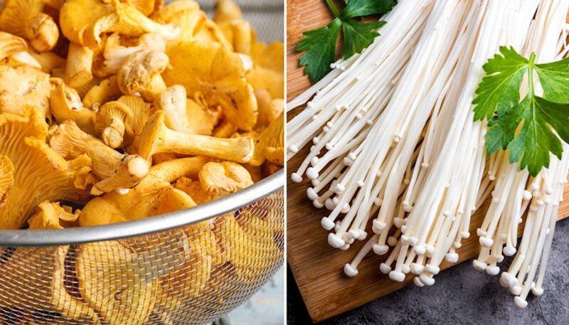 Chanterelle to Enoki: 7 unique types of Mushrooms ATG EAI