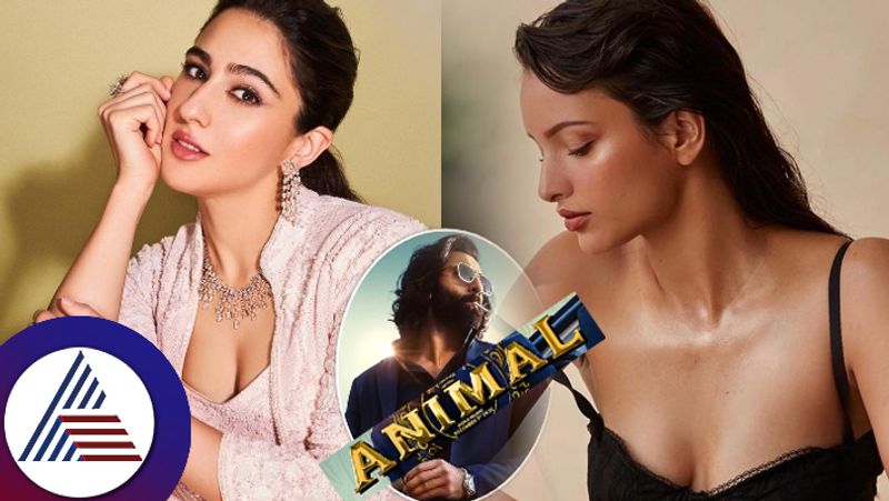 Sara Ali Khan Was Rejected For Triptii Dimris Role In Animal film suc