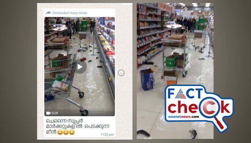 fish flapping on supermarket floor not from chennai fact check jje 