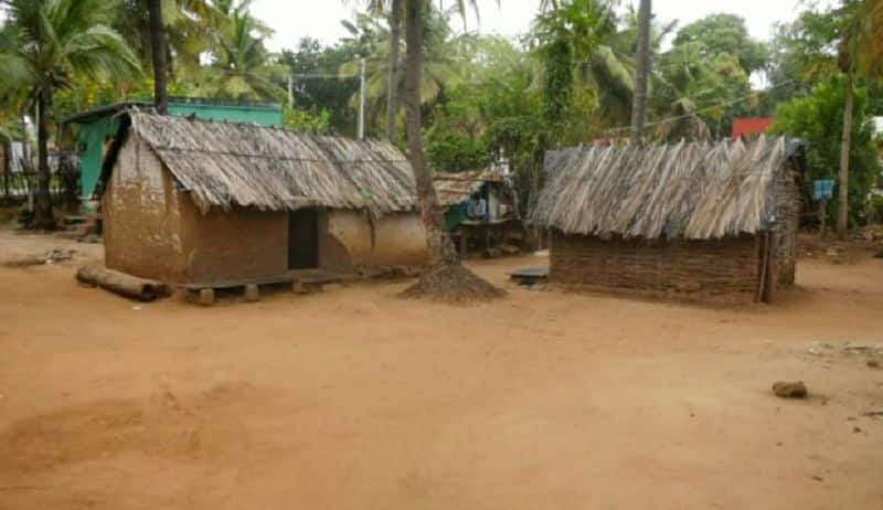 76 years have passed since independence chamarajanagar district tribal losers still live in huts gvd