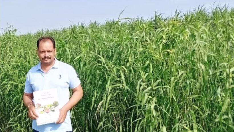 लेमन ग्रास की खेती कर किसानों को दिखाई राह, 6 वर्षों की मेहनत अब ला रही रंग टर्नओवर एक करोड़