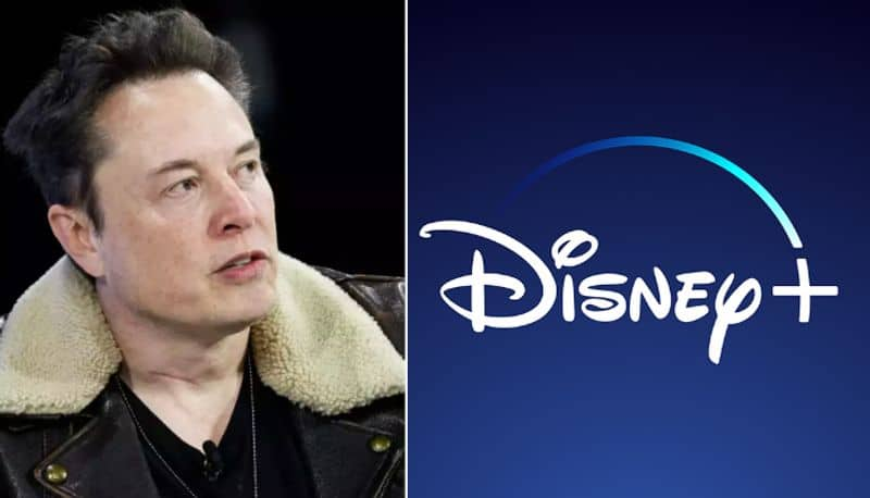 elon musk against disney ceo bob iger joy