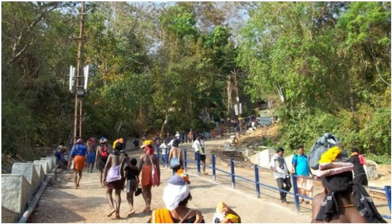 Sabarimala Pilgrim injured by falling tree branch 