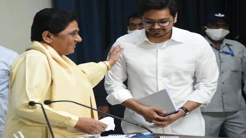 Mayawati Names Nephew Akash Anand as her Political Successor smp