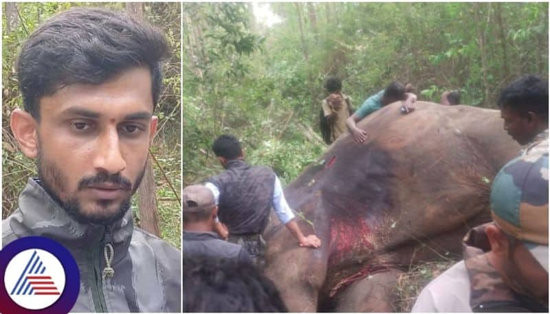 Wildlife Doctor Ramesh clarified the Arjuna jumbo elephant death controversy sat