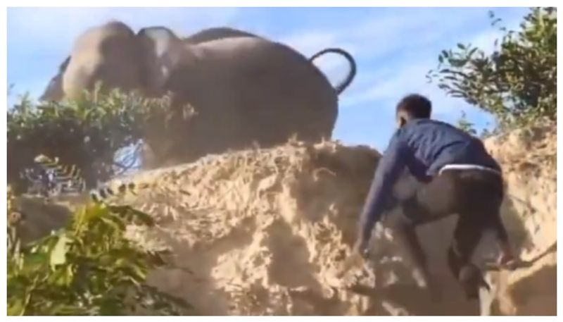 video of men trying to scare wildelephant with slippers went viral bkg