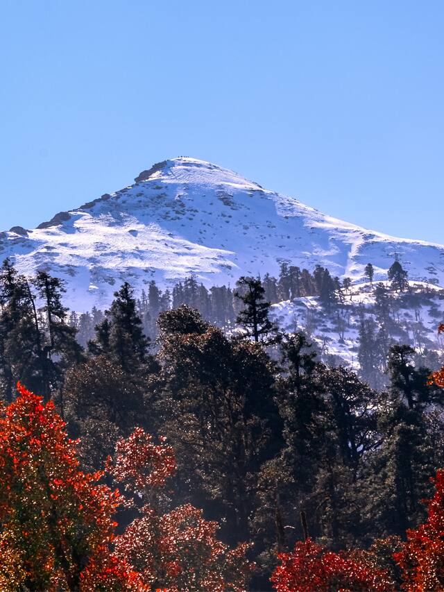 Significance of International Mountain Day Date Theme History Importance 