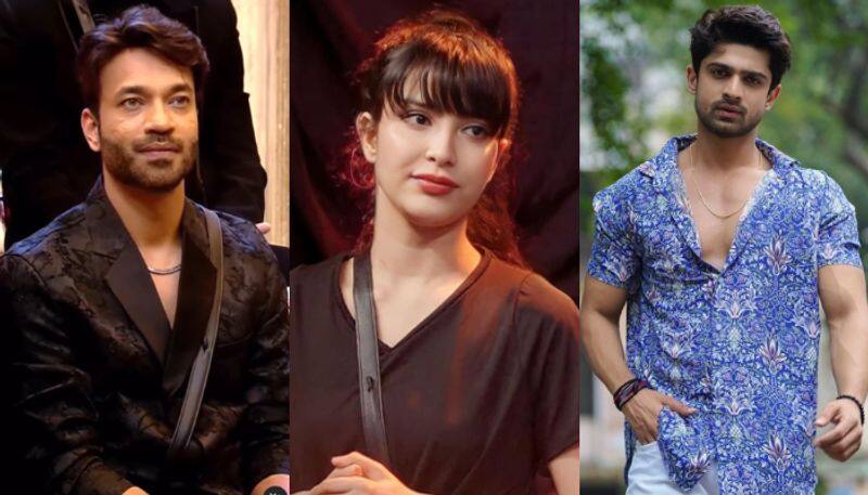 Bigg Boss 17: Abhishek Kumar, Vicky Jain, Khanzaadi, Neil Bhatt get nominated for the week RKK