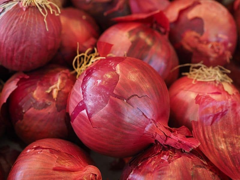 Tomato Onion price decline in chennai koyambedu market tvk