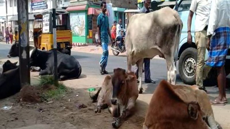 mother and son highly injured while road accident in theni district vel