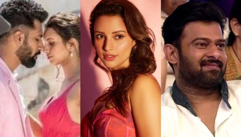 'Animal' star Tripti Dimri to romance Prabhas, Vicky Kaushal? Here's what viral pictures speculate