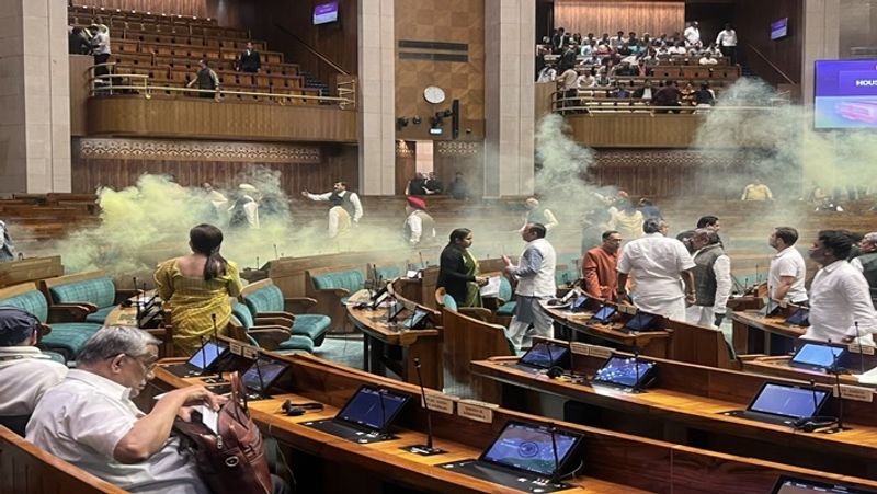 Two visitors jumps into the Lok Sabha chamber from the gallery smp