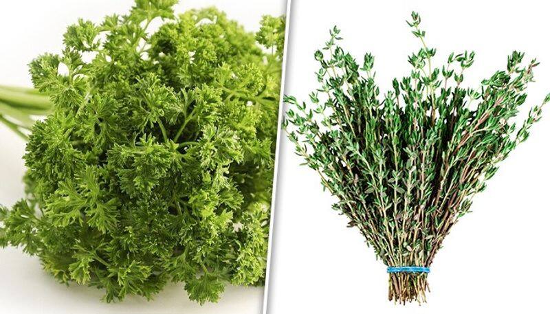 Parsley to thyme: 7 spices/herbs used to elevate taste of Soups ATG EAI