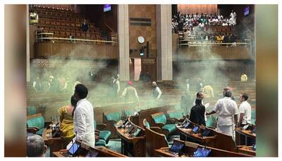Parliament security breach: Two more people detained for questioning; check details