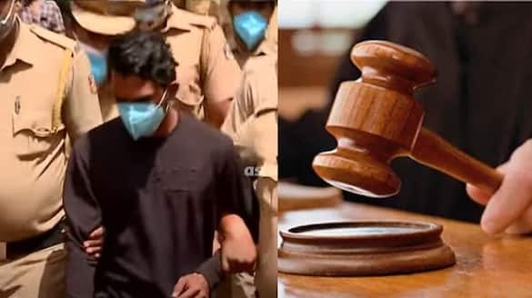 Vandiperiyar case; The High Court told the accused Arjun not to leave the idukki, bail order should be implemented within 10 days