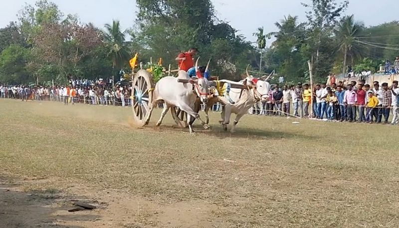 Bullock Cart Race Held in Kodagu grg 