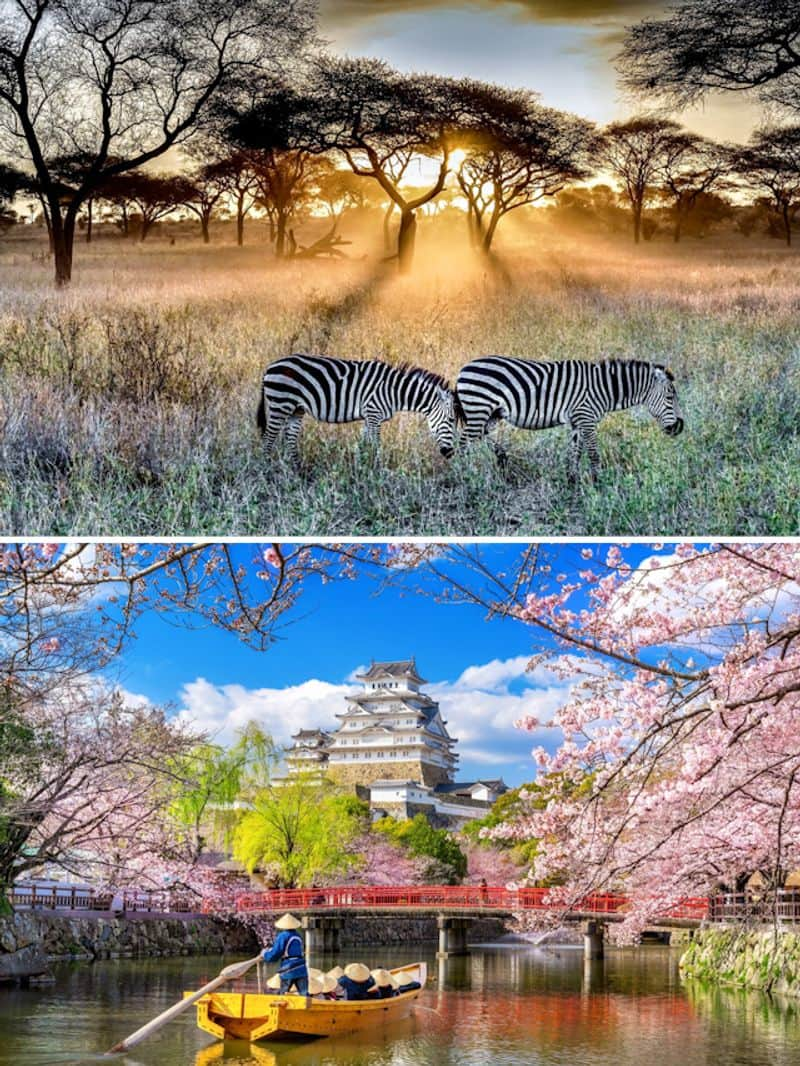 South Africa to Japan-7 countries to visit in 2024 from India RBA EAI