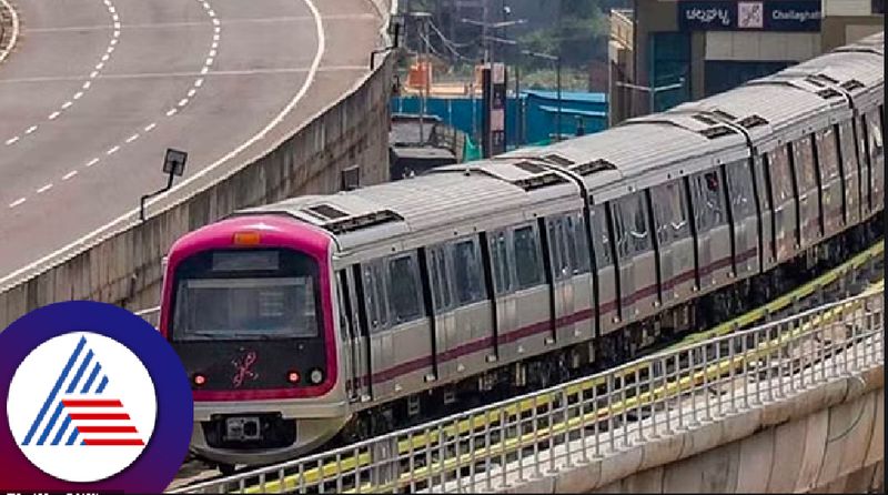 Construction of 318 coaches required for pink and blue metro line started gvd