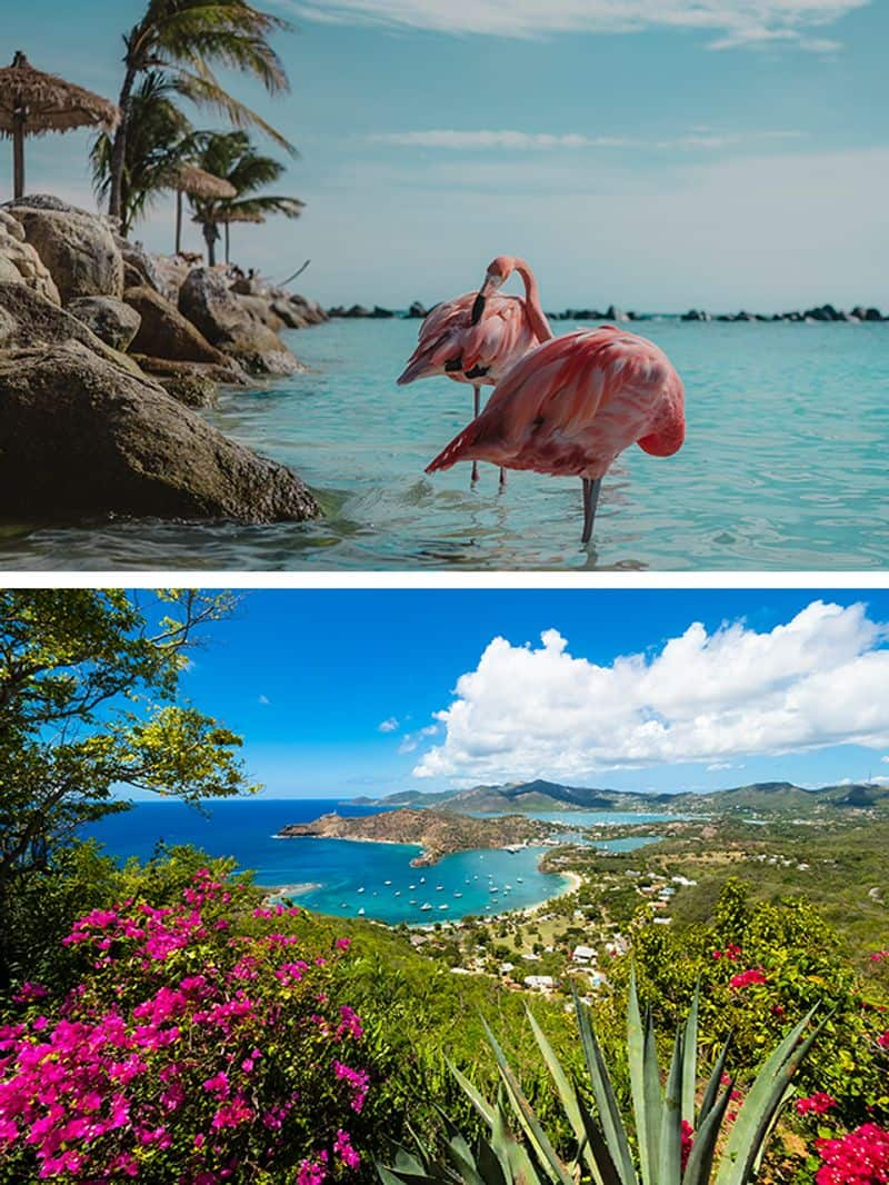 Aruba to Barbados: 7 Islands to travel in the Caribbean THIS December ATG