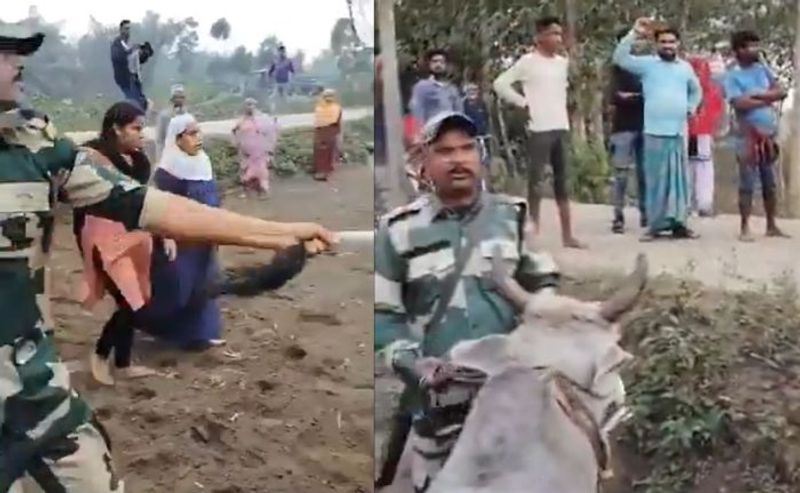 Video of Bangladeshi cow smugglers arguing with BSF in West Bengal emerges (WATCH)