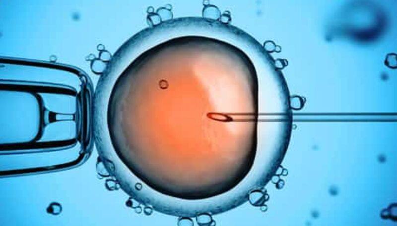 Men Eggs and Women Sperm Stem Cell Science changing the way of reproduction ans 