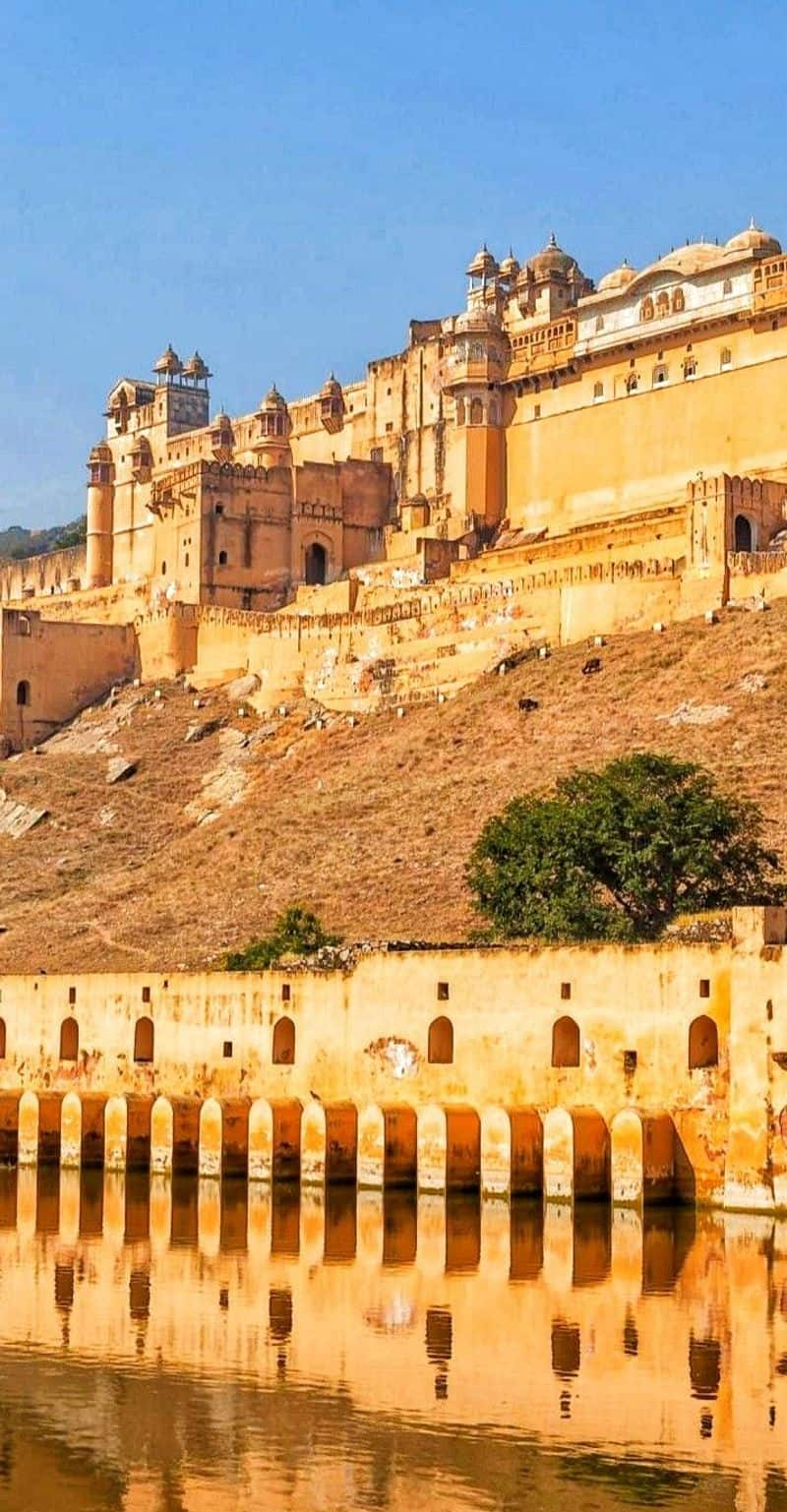 Chittorgarh Fort history rani-padmavati-real-story-chittorgarh-fort-timings iwh