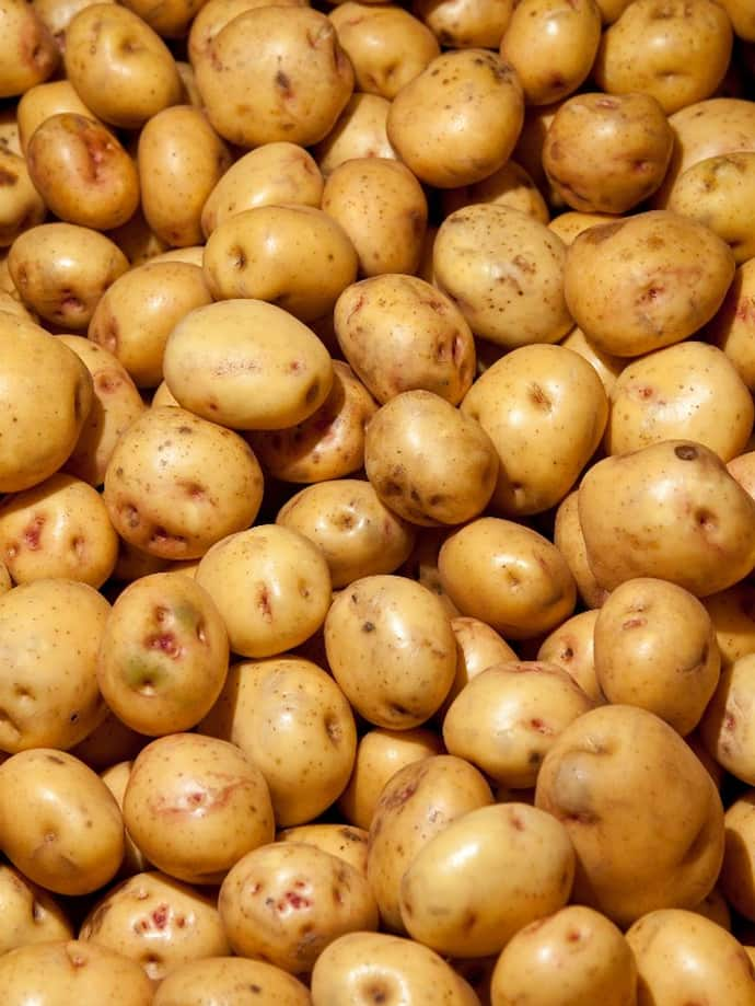 potato