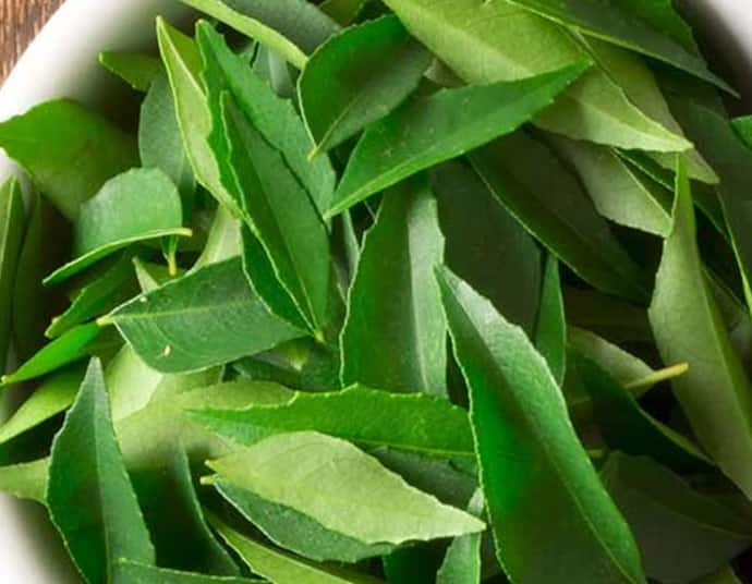 curry leaves