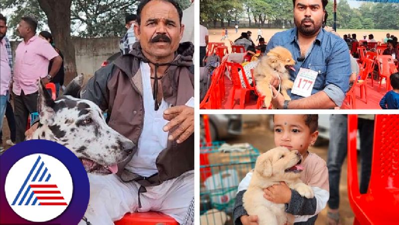 Dog show was held in Vijayapur and awareness about rabies at the show rav